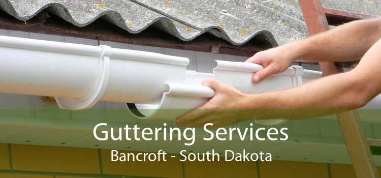 Guttering Services Bancroft - South Dakota