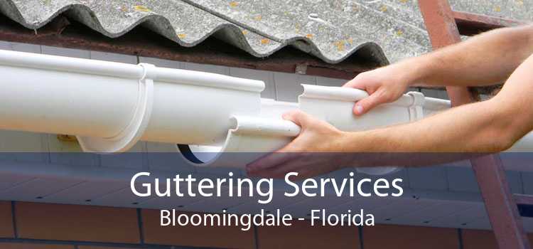 Guttering Services Bloomingdale - Florida