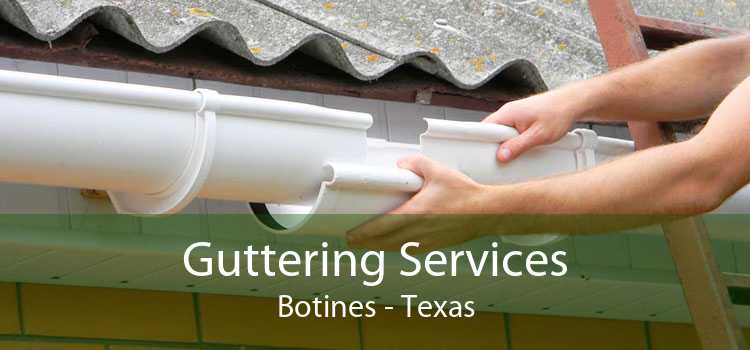 Guttering Services Botines - Texas