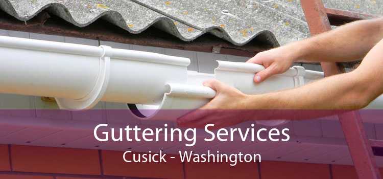 Guttering Services Cusick - Washington
