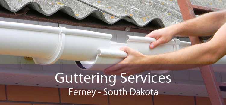 Guttering Services Ferney - South Dakota