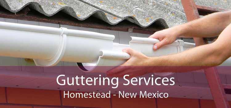 Guttering Services Homestead - New Mexico