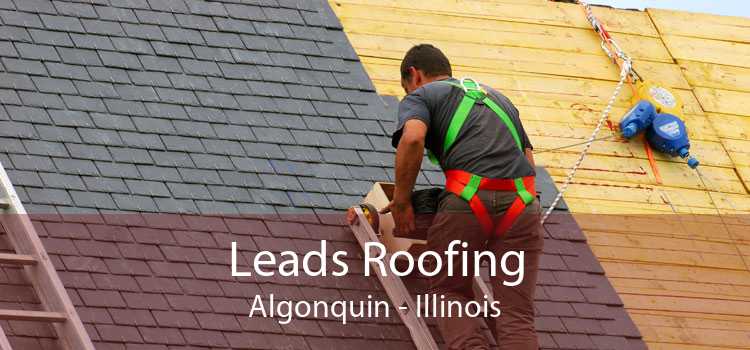 Leads Roofing Algonquin - Illinois