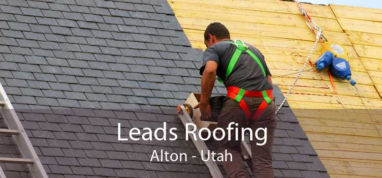 Leads Roofing Alton - Utah