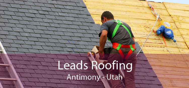 Leads Roofing Antimony - Utah