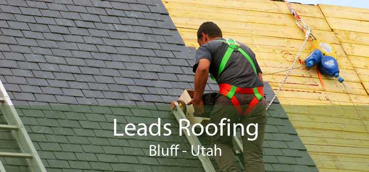 Leads Roofing Bluff - Utah