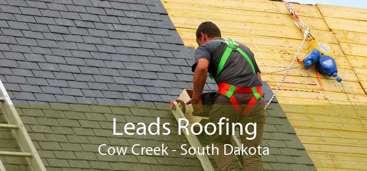 Leads Roofing Cow Creek - South Dakota