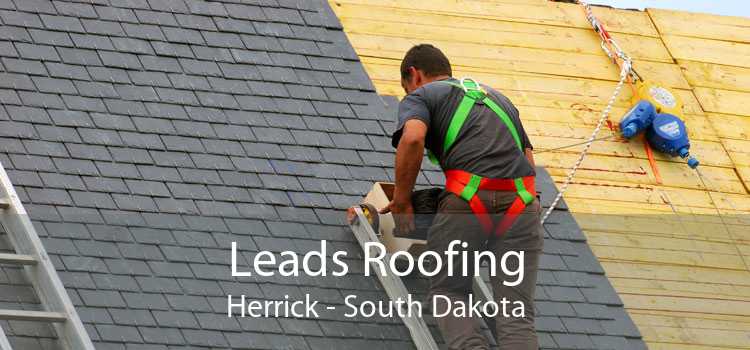 Leads Roofing Herrick - South Dakota