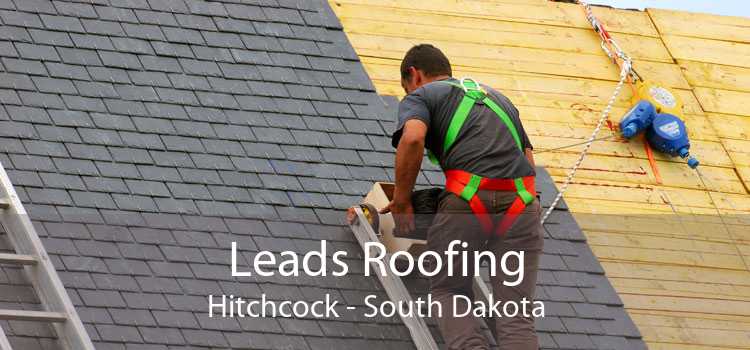 Leads Roofing Hitchcock - South Dakota