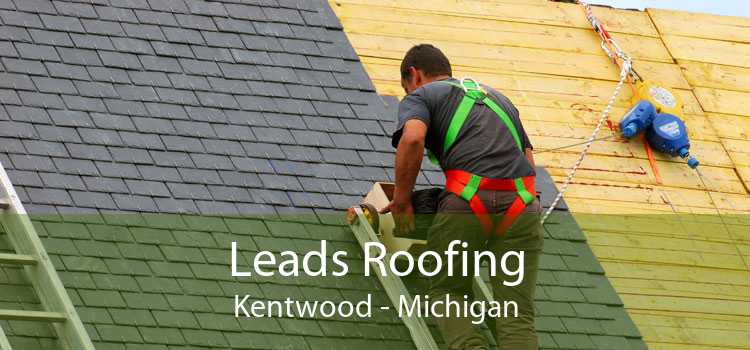 Leads Roofing Kentwood - Michigan