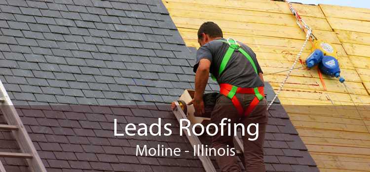 Leads Roofing Moline - Illinois