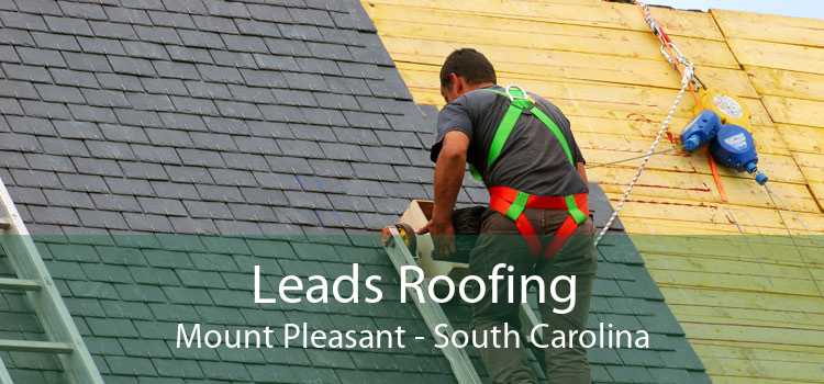 Leads Roofing Mount Pleasant - South Carolina