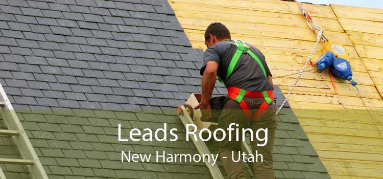 Leads Roofing New Harmony - Utah