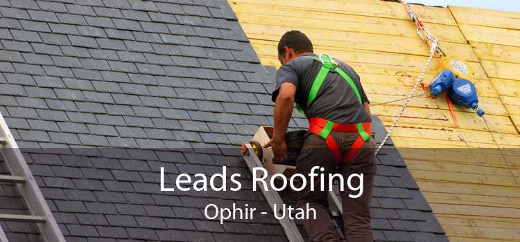 Leads Roofing Ophir - Utah