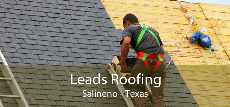 Leads Roofing Salineno - Texas