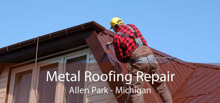 Metal Roofing Repair Allen Park - Michigan