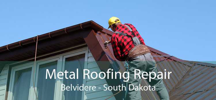 Metal Roofing Repair Belvidere - South Dakota