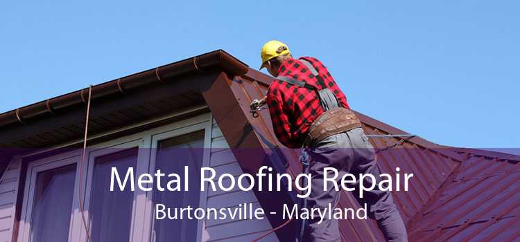 Metal Roofing Repair Burtonsville - Maryland