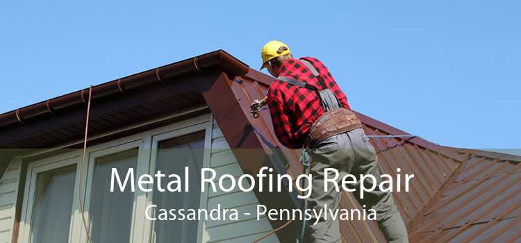 Metal Roofing Repair Cassandra - Pennsylvania