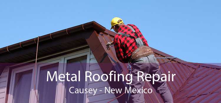 Metal Roofing Repair Causey - New Mexico