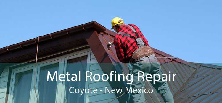 Metal Roofing Repair Coyote - New Mexico