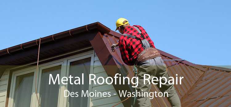 Metal Roofing Repair Des Moines - Washington