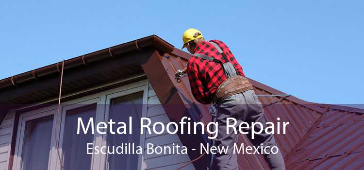 Metal Roofing Repair Escudilla Bonita - New Mexico