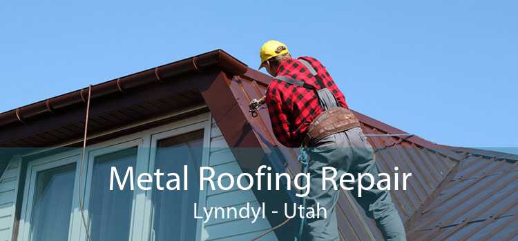 Metal Roofing Repair Lynndyl - Utah