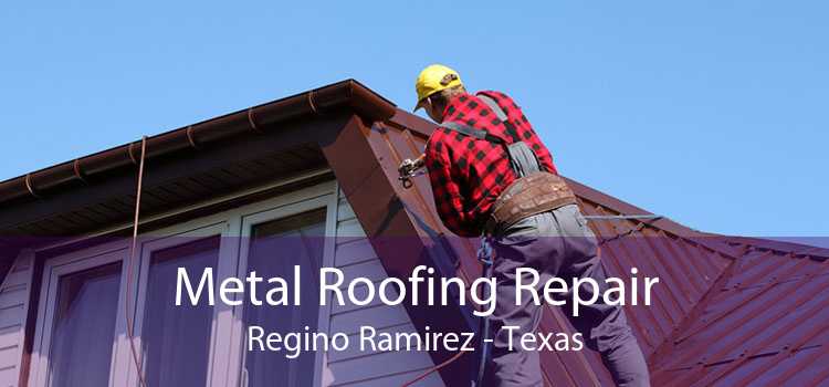 Metal Roofing Repair Regino Ramirez - Texas