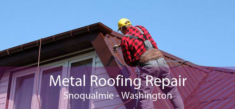 Metal Roofing Repair Snoqualmie - Washington