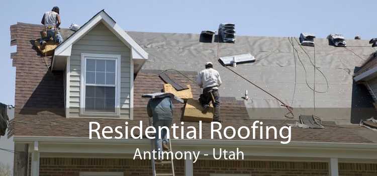 Residential Roofing Antimony - Utah