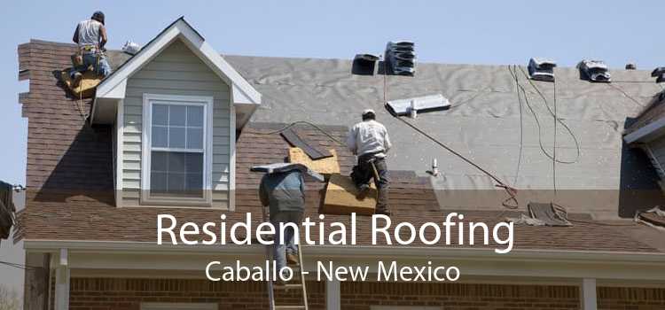 Residential Roofing Caballo - New Mexico