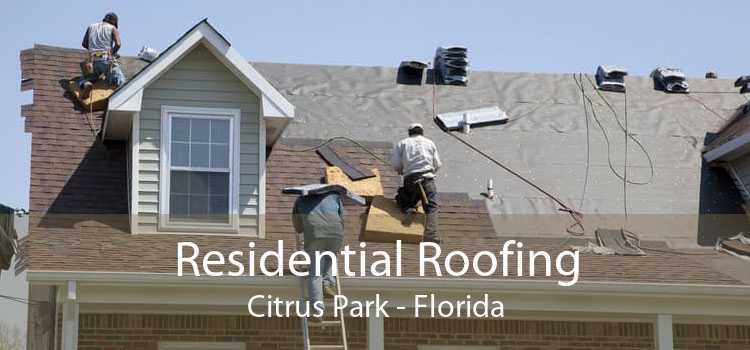 Residential Roofing Citrus Park - Florida