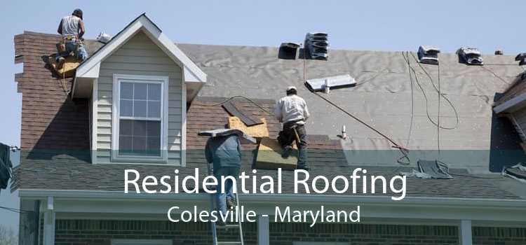 Residential Roofing Colesville - Maryland