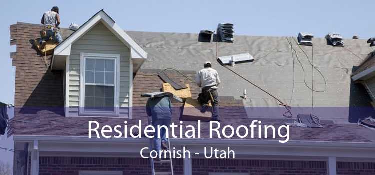Residential Roofing Cornish - Utah