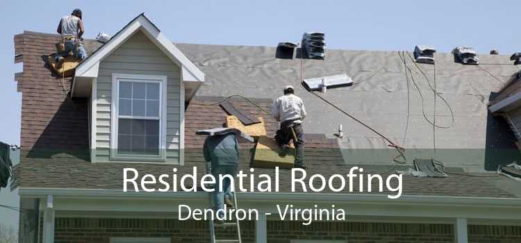 Residential Roofing Dendron - Virginia