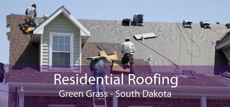 Residential Roofing Green Grass - South Dakota