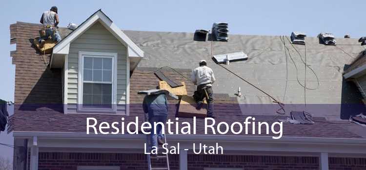 Residential Roofing La Sal - Utah