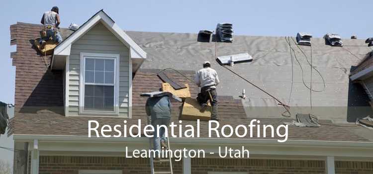 Residential Roofing Leamington - Utah