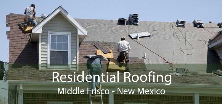 Residential Roofing Middle Frisco - New Mexico