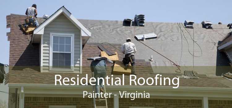 Residential Roofing Painter - Virginia