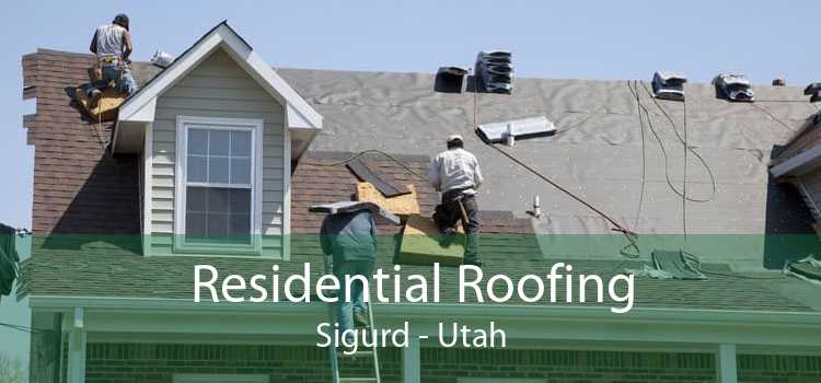 Residential Roofing Sigurd - Utah