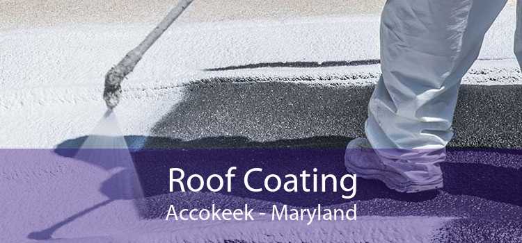Roof Coating Accokeek - Maryland