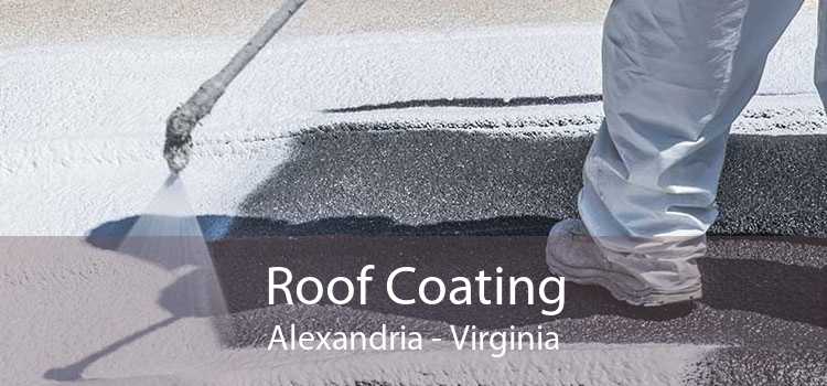 Roof Coating Alexandria - Virginia