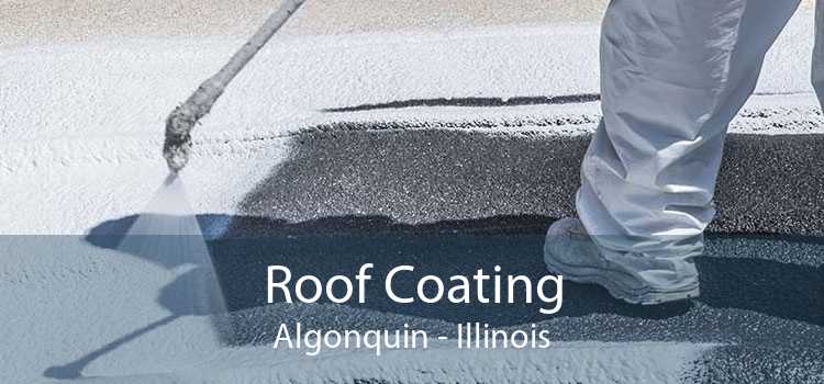 Roof Coating Algonquin - Illinois