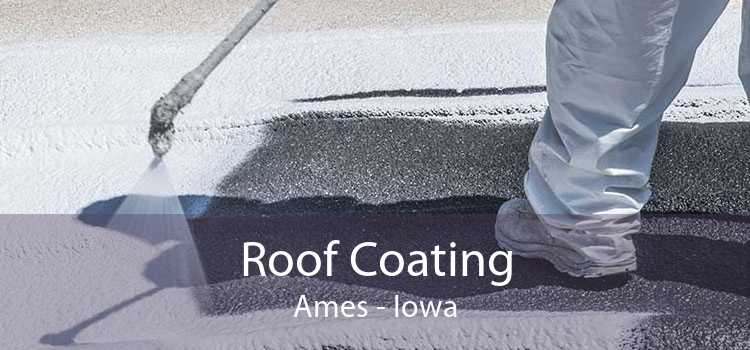 Roof Coating Ames - Iowa