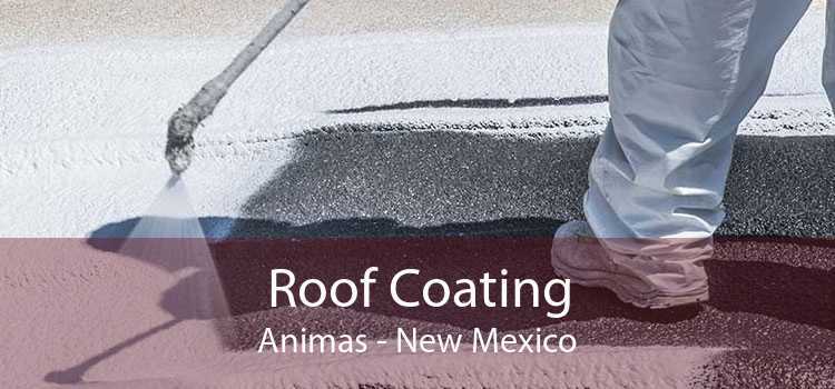 Roof Coating Animas - New Mexico