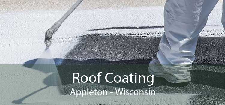 Roof Coating Appleton - Wisconsin