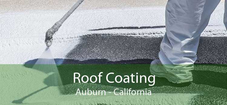 Roof Coating Auburn - California