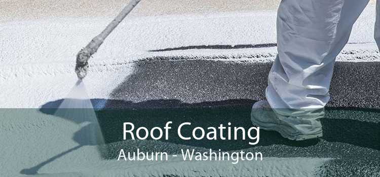 Roof Coating Auburn - Washington